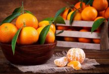 Photo of Результаты диеты с низким гликемическим индексом