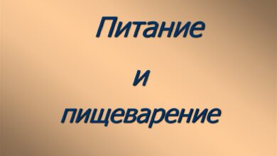 Photo of Сыроедение: особенности питания