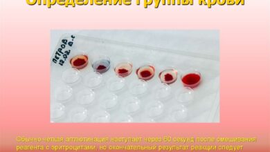 Photo of Диета с учетом группы крови